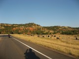 Thumbs/tn_IMG_0741RS269.jpg