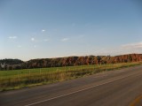 Thumbs/tn_IMG_0747RS275.jpg