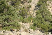 Thumbs/tn_IMG_4137JC370.jpg