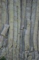 Thumbs/tn_IMG_4147JC380.jpg
