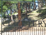 Thumbs/tn_IMG_0315JC019.jpg