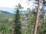 Thumbs/tn_IMG_0336JC039.jpg