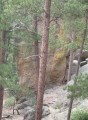 Thumbs/tn_IMG_0345JC047.jpg