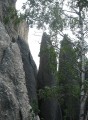 Thumbs/tn_IMG_0346JC048.jpg