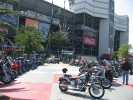 Thumbs/tn_Img_9173.jpg