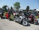 Thumbs/tn_Img_9174.jpg