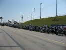 Thumbs/tn_Img_9177.jpg