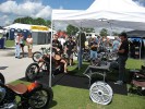 Thumbs/tn_Img_8486.jpg