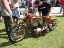 Thumbs/tn_Img_8490.jpg