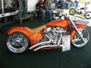 Thumbs/tn_Img_8493.jpg