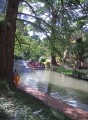 Thumbs/tn_Img_0031.jpg