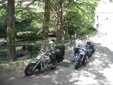 Thumbs/tn_Img_8158.jpg