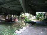Thumbs/tn_Img_8177.jpg