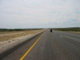 Thumbs/tn_Img_8256.jpg