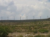 Thumbs/tn_Img_8284.jpg