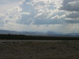Thumbs/tn_Img_8310.jpg