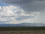 Thumbs/tn_Img_8323.jpg