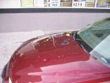 Thumbs/tn_Img_8332.jpg