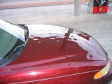 Thumbs/tn_Img_8333.jpg