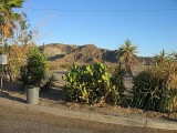 Thumbs/tn_Img_8607.jpg