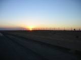 Thumbs/tn_Img_8646.jpg