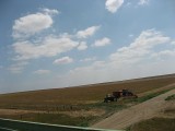 Thumbs/tn_IMG_1188RS037.jpg