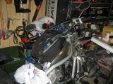 Thumbs/tn_IMG_1448RS294.jpg