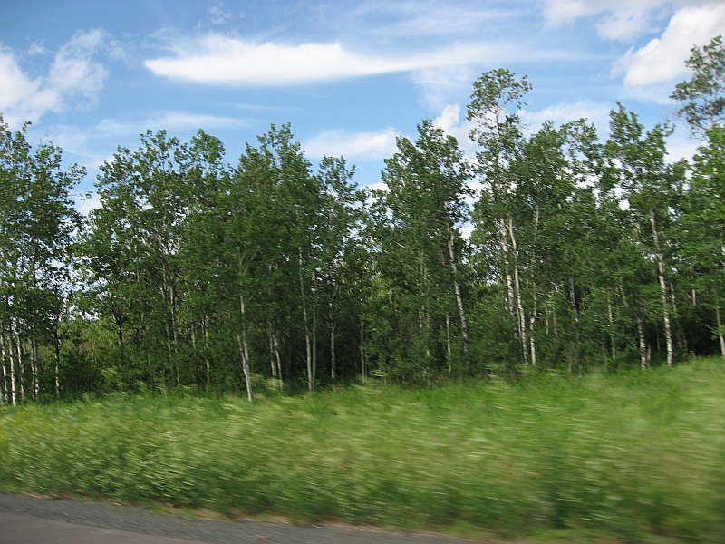 ../Images/RaysPicsDay4_067.jpg