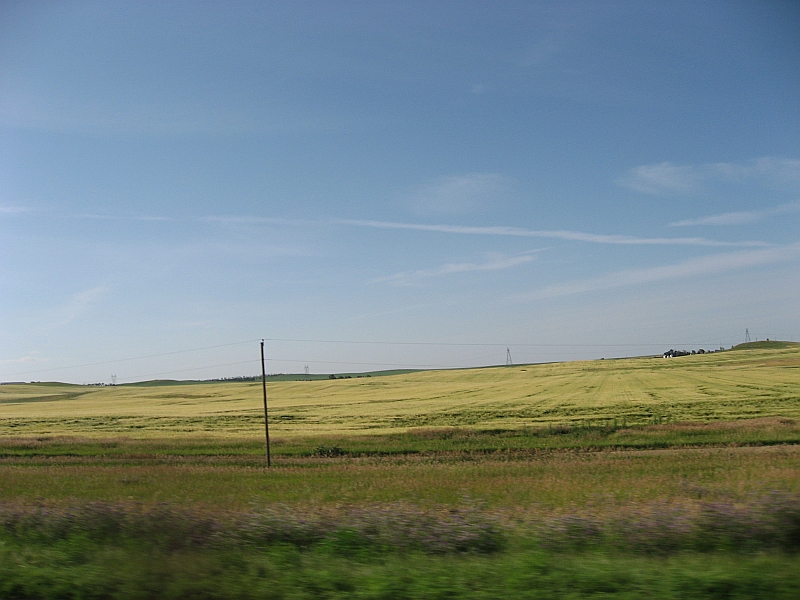 ../Images/RaysPicsDay5_131.jpg