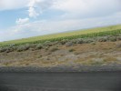 Thumbs/tn_RaysPicsDay8_242.jpg