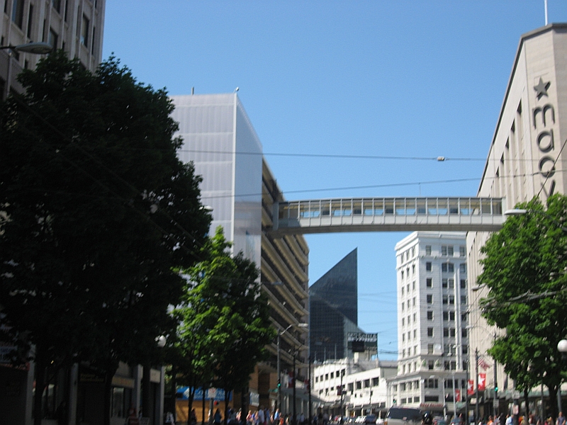 ../Images/RaysPicsDay10_154.jpg