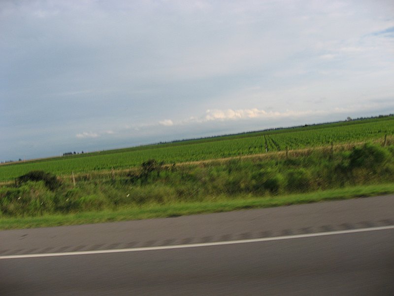 ../Images/RaysPicsDay14_124.jpg